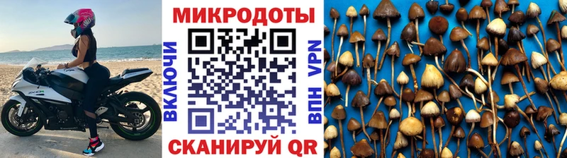 дарнет шоп  Тотьма  Псилоцибиновые грибы GOLDEN TEACHER 